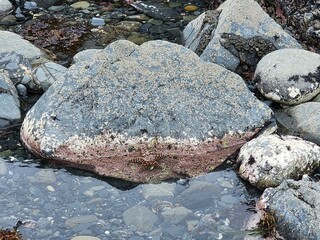 Water Bedrock Landscape Geology Rock Natural landscape