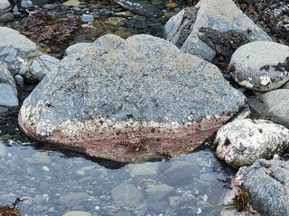 Water Bedrock Landscape Geology Rock Art