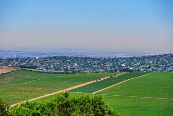 Fototapeta na wymiar Aerial shot of Durbanville suburbs houses and vineyards on a clear summer afternoon, Cape Town, South Africa