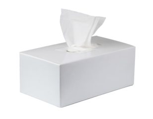White tissue box cut out
