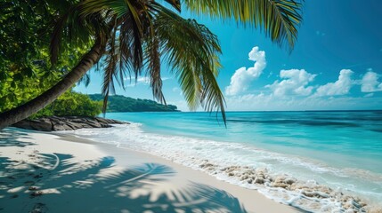 paradise beach professional photo, high details, beautiful background wallpaper