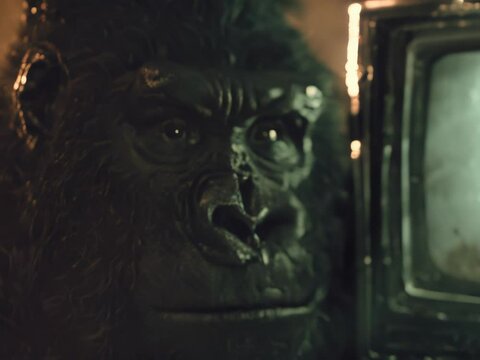 Gorilla looking into the camera next to a retro television screen close-up animation