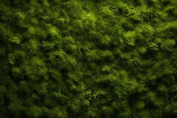 Foto op Plexiglas Mystical Moss: A Tranquil Green Background of Nature's Carpet © Anton