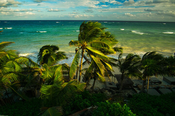 stormy day at tropical beach with palm trees