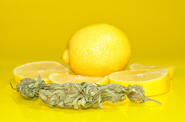 dried cannabis buds and lemon, Cannabis with lemon flavor, Cannabis and lemon on a yellow background