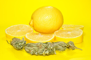 dried cannabis buds and lemon, Cannabis with lemon flavor, Cannabis and lemon on a yellow background