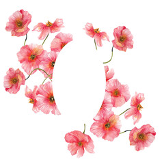 Watercolor frame with spring flowers in peach fuzz color, isolated on transparent background, PNG files, for wedding invitations, cards and posters.