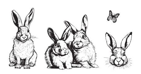 Little bunny set hand drawn sketch animals Vector illustration - obrazy, fototapety, plakaty