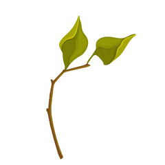 Spring branch with green leaves with shoots.Vector graphics.