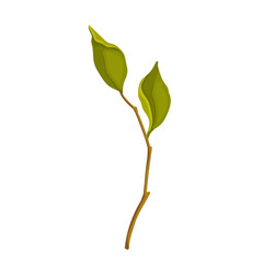 Spring branch with green leaves with shoots.Vector graphics.