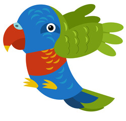 Cartoon australian animal bird parrot on white background illustration for children