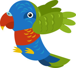 Cartoon australian animal bird parrot on white background illustration for children