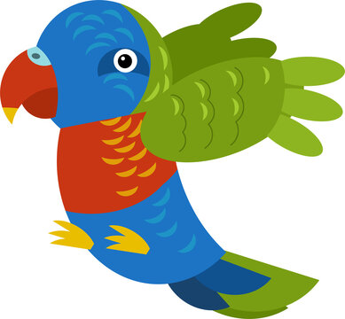 recommend clip art: Cartoon australian animal bird parrot on white background illustration for children