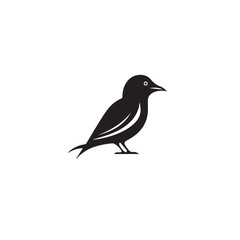 Fototapeta premium Crow in cartoon, doodle style. Isolated 2d vector illustration in logo, icon, sketch style, Eps 10, black and white. AI Generative