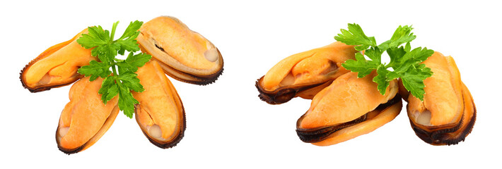 four mussel with parsley leaf isolated on white background