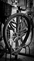 bicycles in the city