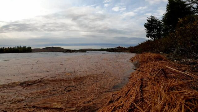 Lake Lila 261 Lake Lila New York