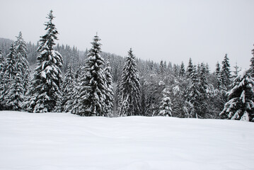 Fototapeta premium Winter landscape near Comandau village, Romania