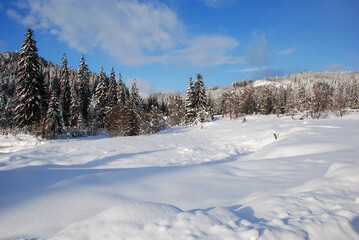 Fototapeta na wymiar Winter landscape near Comandau village, Romania