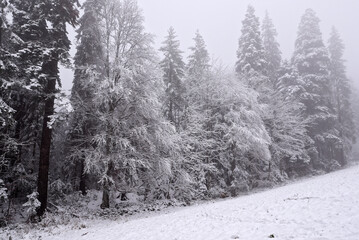 Winter landscape in Poiana Brasov, romania