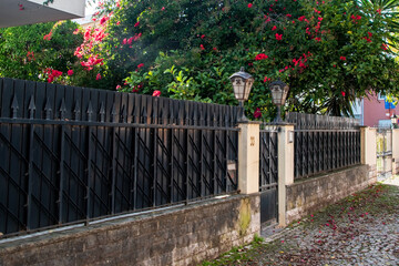 Old black iron fence in the street with flowers in the foreground.