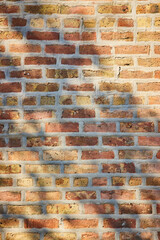 Sunny tan brick wall with tree shadow over light colored bricks and mortar, background asset