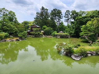 Water Cloud Plant Sky Natural landscape Tree