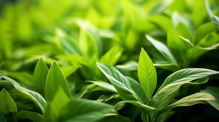 leaves background with generative ai