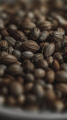 Coriander seeds in a bowl on wooden background. Close up.
