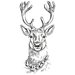 Cartoon Reindeer, deer Sketch Hand Drawn Vintage, black white isolated Vector ink outlines template for greeting card, poster, invitation, logo