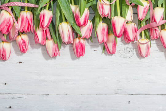 Bouquet of fresh pink tulips on white wooden background. Festive concept for Mother's Day