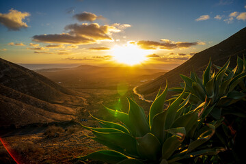Summer landscape on a mountain slope. The surise and the ocean in the distance. Lens flare. - obrazy, fototapety, plakaty