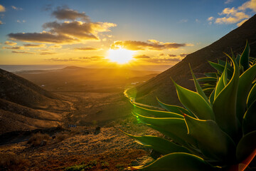 Summer landscape on a mountain slope. The surise and the ocean in the distance. Lens flare.
