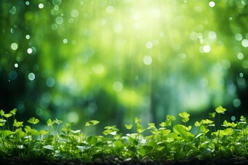 Fototapeta premium Festive stpatricks day background with green tones and text space for creative placement