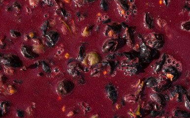 Wine material, grape juice - must, stum, maun. Technology of wine production in Moldova. The folk tradition of making wine.