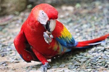 Roatan, Honduras
