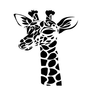 giraffe vector illustration black and white design