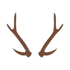Fotobehang deer antler icon vector © Ida