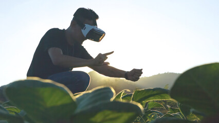 Young smart famer use the VR mask's core data network reality checking the quality of tobacco...