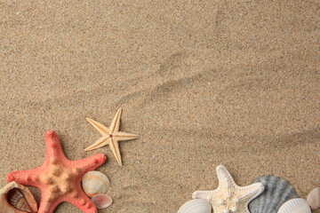 Beautiful sea stars and shells on sand, flat lay. Space for text