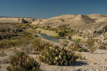 Prickly Pear Looks Out Over The Rio Grande River And Hot Springs In Big Bend