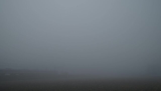 霧の中を走る223系新快速 （東海道本線 安土 - 能登川, 2023年12月）