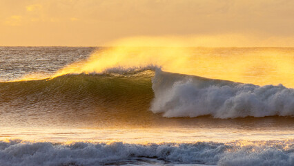 Early morning glowing golden wave © Libby