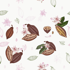 Cacao vector pattern with chocolate in vintage style - 696654246