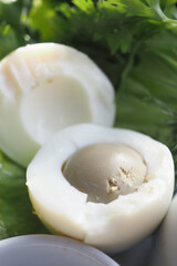 closeup of bowel egg on lettuce 