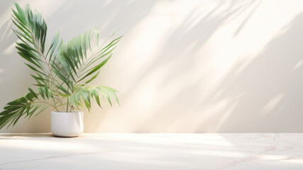 Minimalistic light background with blurred Monstera Deliciosa plant pot shadow on a light wall. Beautiful background for presentation with with marble floor - Powered by Adobe