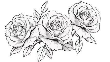 Fototapeten beautiful roses flower floral black outline isolated © BornHappy