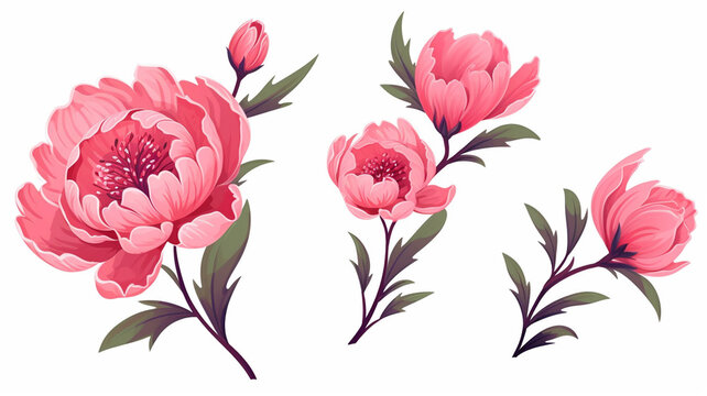 Hand drawn vector artistic peony flowers isolated design background