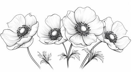 Sketch of anemone flowers. Hand drawn illustration design - obrazy, fototapety, plakaty