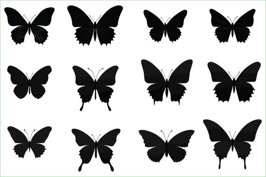 Butterfly Silhouettes, Butterfly silhouette collection, set, silhouette butterfly